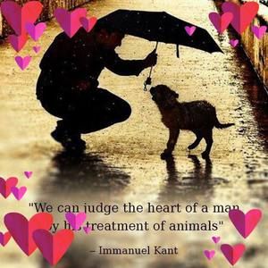 Meet your Posher, Joan